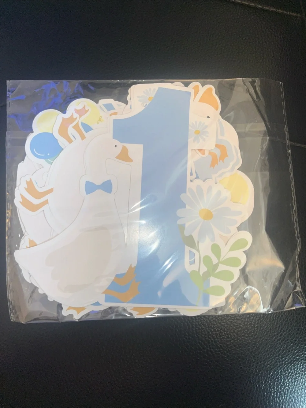 CJ Boy Silly Goose 1st Birthday Decorations